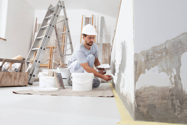 Best Drywall Sanding and Smoothing  in North Pekin, IL